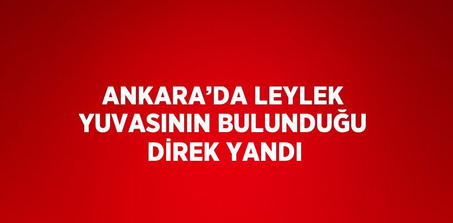 ANKARA’DA LEYLEK YUVASININ BULUNDUĞU DİREK YANDI