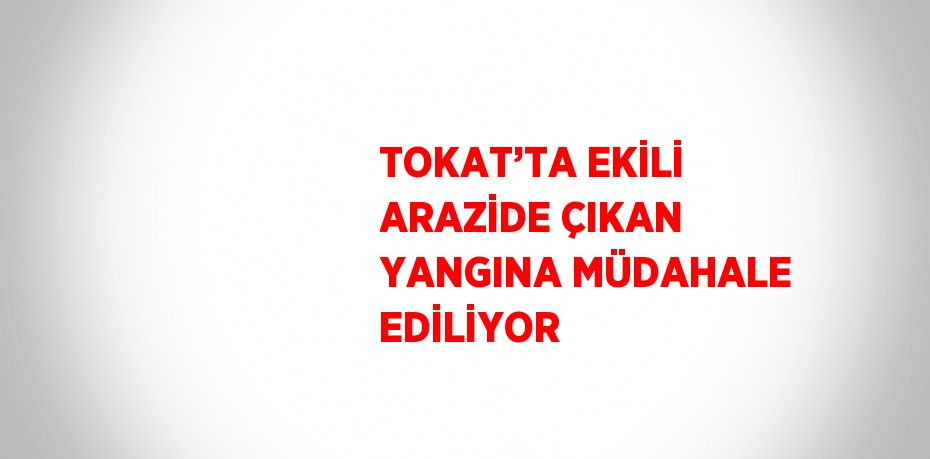 TOKAT’TA EKİLİ ARAZİDE ÇIKAN YANGINA MÜDAHALE EDİLİYOR