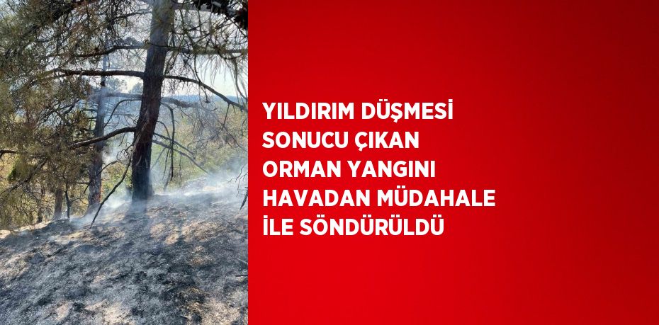 YILDIRIM DÜŞMESİ SONUCU ÇIKAN ORMAN YANGINI HAVADAN MÜDAHALE İLE SÖNDÜRÜLDÜ