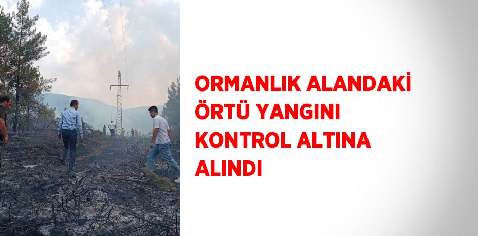 ORMANLIK ALANDAKİ ÖRTÜ YANGINI KONTROL ALTINA ALINDI