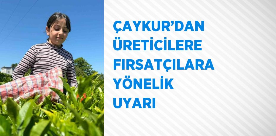 ÇAYKUR’DAN ÜRETİCİLERE FIRSATÇILARA YÖNELİK UYARI