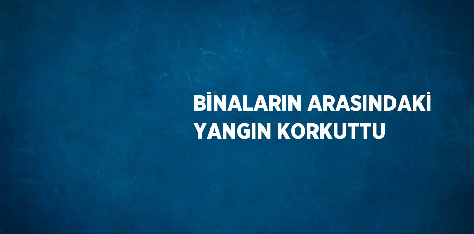 BİNALARIN ARASINDAKİ YANGIN KORKUTTU