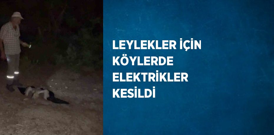 LEYLEKLER İÇİN KÖYLERDE ELEKTRİKLER KESİLDİ