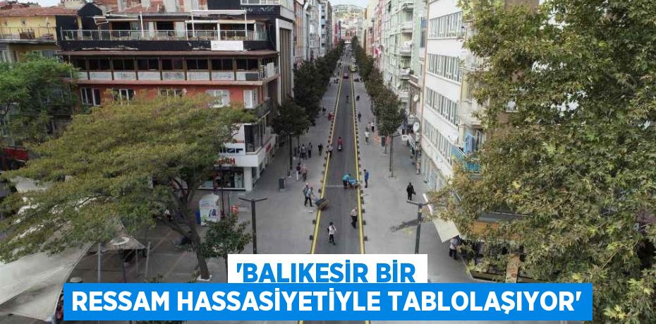 “BALIKESİR BİR RESSAM HASSASİYETİYLE TABLOLAŞIYOR”