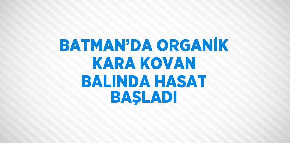 BATMAN’DA ORGANİK KARA KOVAN BALINDA HASAT BAŞLADI