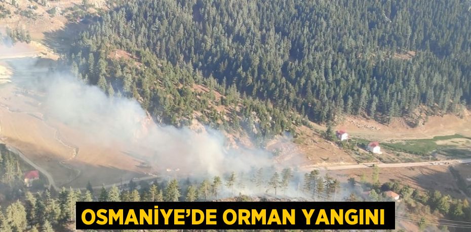 OSMANİYE’DE ORMAN YANGINI