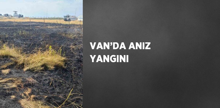 VAN’DA ANIZ YANGINI