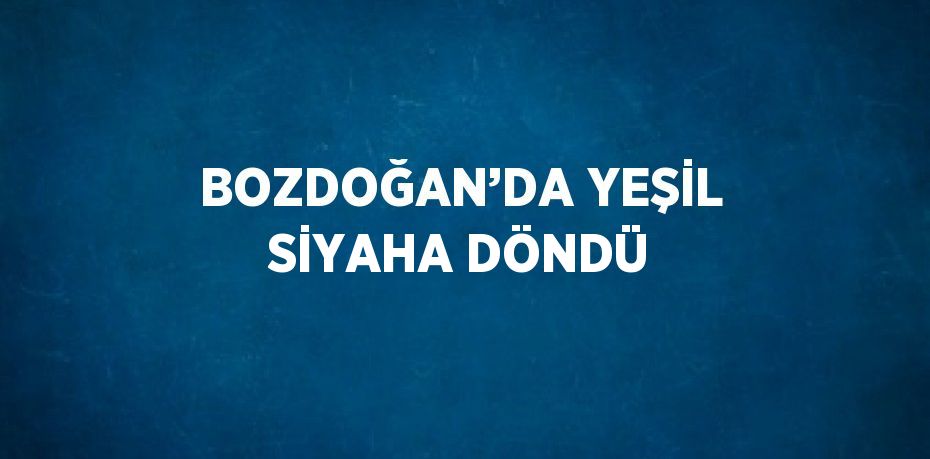 BOZDOĞAN’DA YEŞİL SİYAHA DÖNDÜ