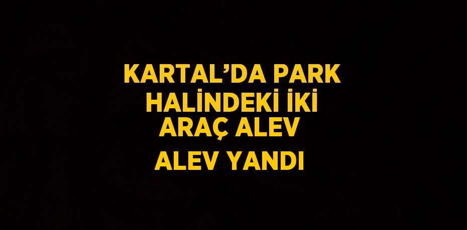 KARTAL’DA PARK HALİNDEKİ İKİ ARAÇ ALEV ALEV YANDI