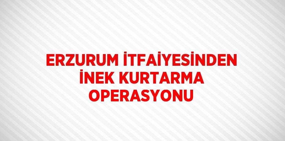 ERZURUM İTFAİYESİNDEN İNEK KURTARMA OPERASYONU