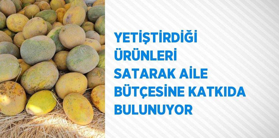 YETİŞTİRDİĞİ ÜRÜNLERİ SATARAK AİLE BÜTÇESİNE KATKIDA BULUNUYOR