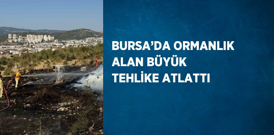 BURSA’DA ORMANLIK ALAN BÜYÜK TEHLİKE ATLATTI