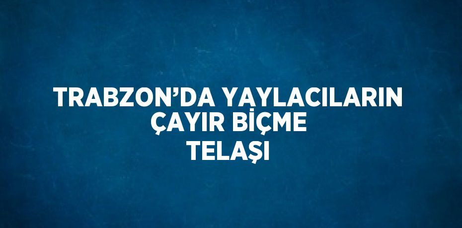 TRABZON’DA YAYLACILARIN ÇAYIR BİÇME TELAŞI