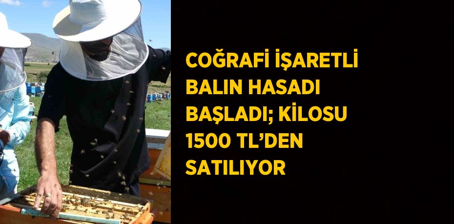 COĞRAFİ İŞARETLİ BALIN HASADI BAŞLADI; KİLOSU 1500 TL’DEN SATILIYOR