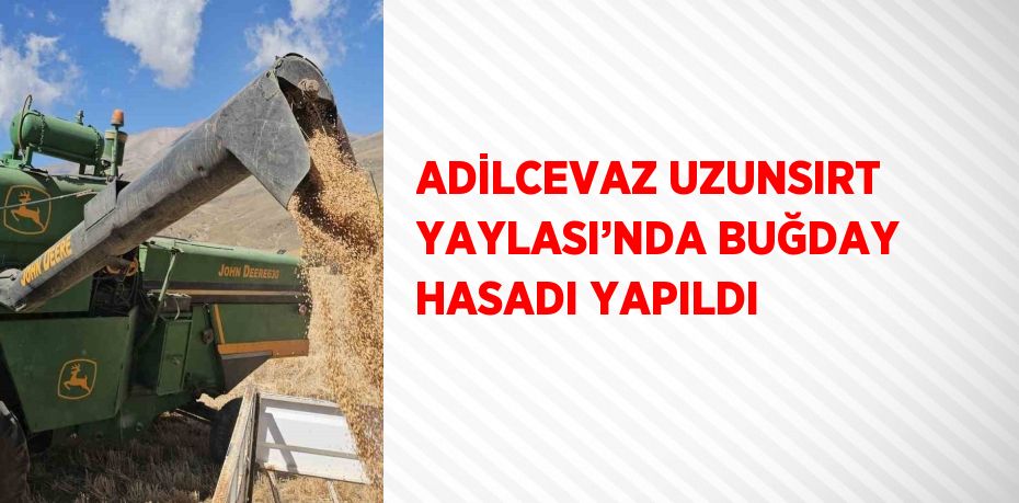 ADİLCEVAZ UZUNSIRT YAYLASI’NDA BUĞDAY HASADI YAPILDI