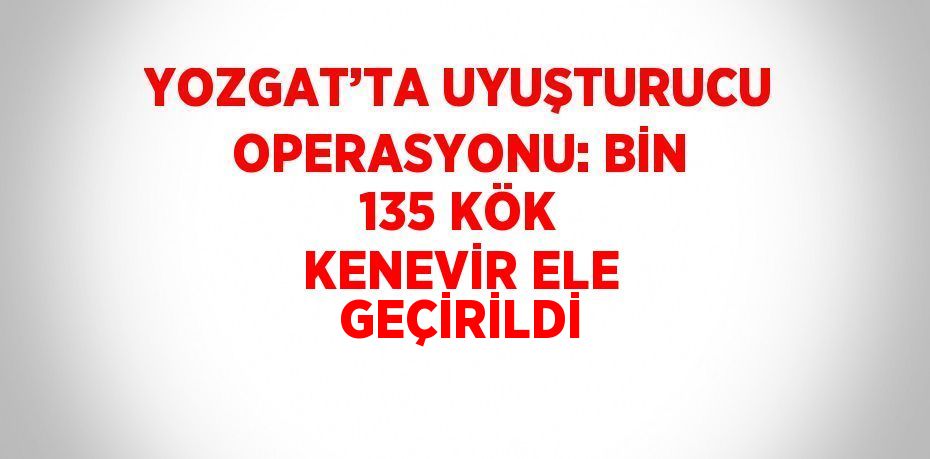 YOZGAT’TA UYUŞTURUCU OPERASYONU: BİN 135 KÖK KENEVİR ELE GEÇİRİLDİ