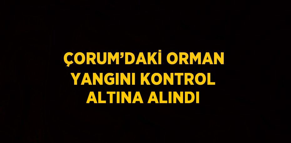 ÇORUM’DAKİ ORMAN YANGINI KONTROL ALTINA ALINDI