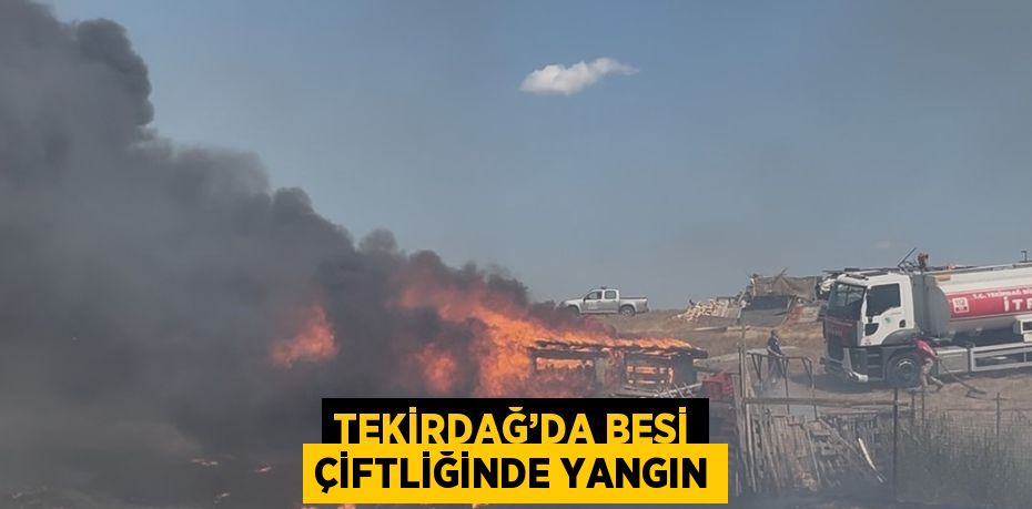 TEKİRDAĞ’DA BESİ ÇİFTLİĞİNDE YANGIN