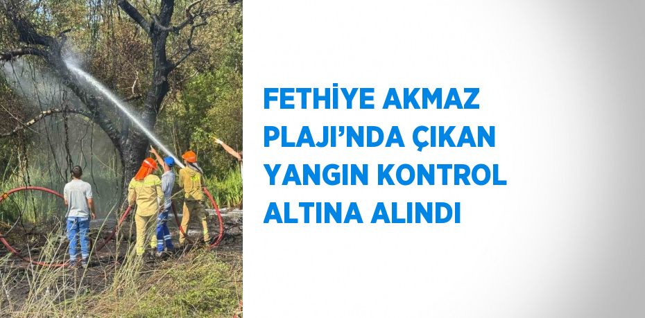 FETHİYE AKMAZ PLAJI’NDA ÇIKAN YANGIN KONTROL ALTINA ALINDI