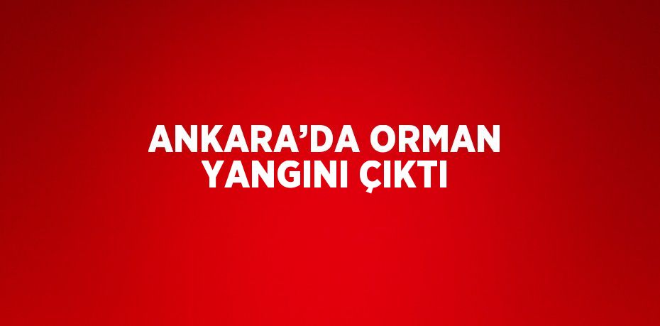 ANKARA’DA ORMAN YANGINI ÇIKTI