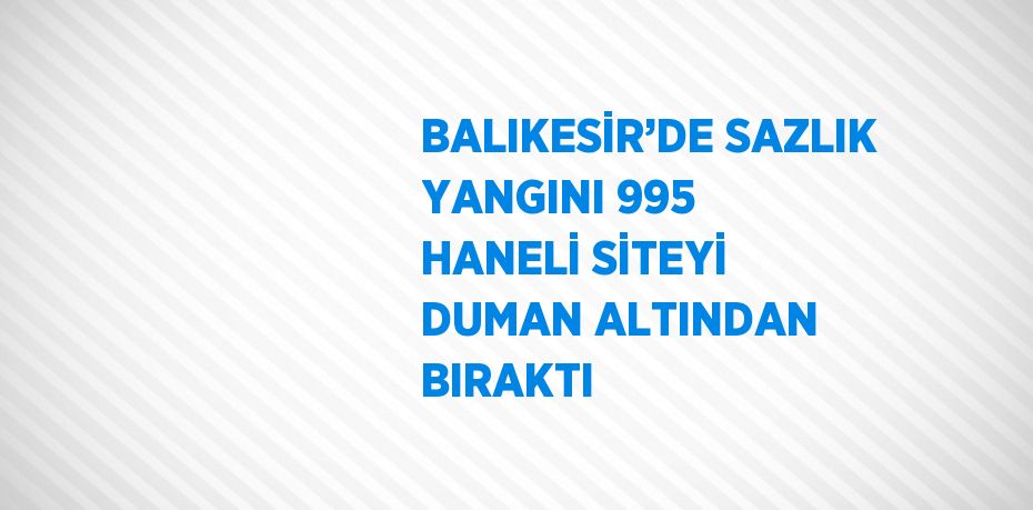 BALIKESİR’DE SAZLIK YANGINI 995 HANELİ SİTEYİ DUMAN ALTINDAN BIRAKTI