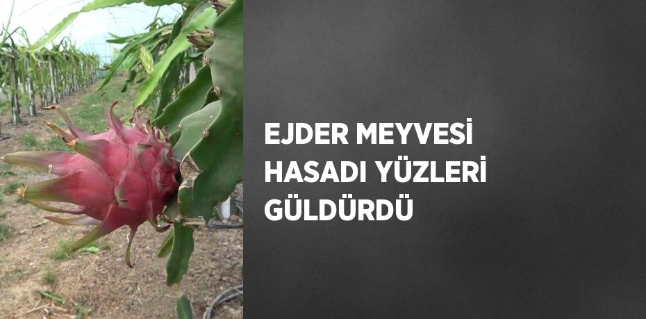 EJDER MEYVESİ HASADI YÜZLERİ GÜLDÜRDÜ