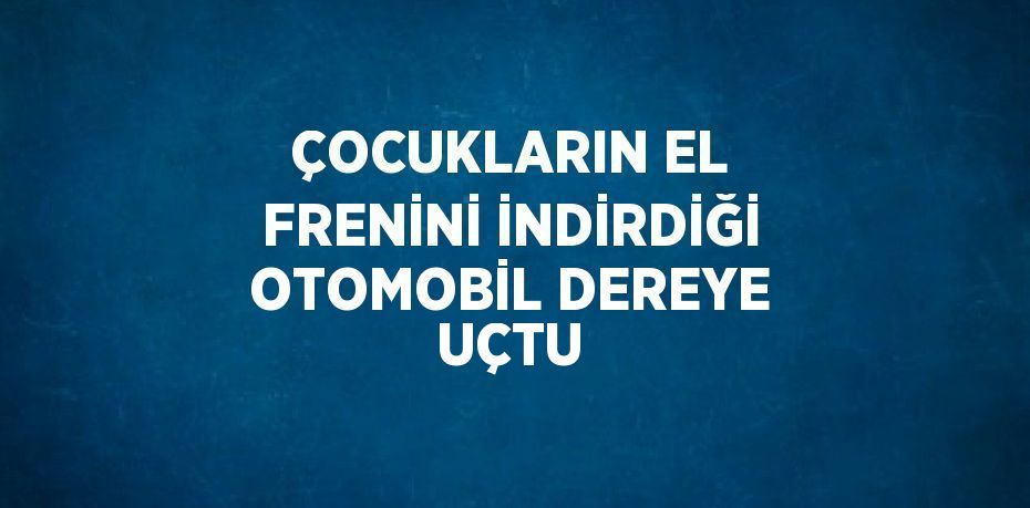 ÇOCUKLARIN EL FRENİNİ İNDİRDİĞİ OTOMOBİL DEREYE UÇTU