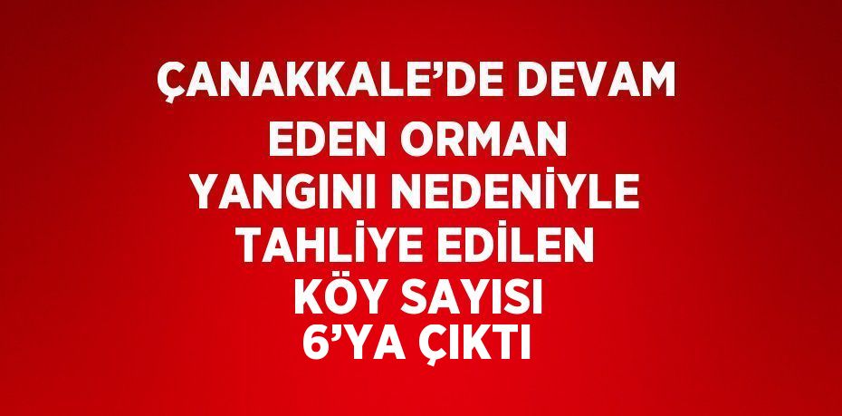 ÇANAKKALE’DE DEVAM EDEN ORMAN YANGINI NEDENİYLE TAHLİYE EDİLEN KÖY SAYISI 6’YA ÇIKTI