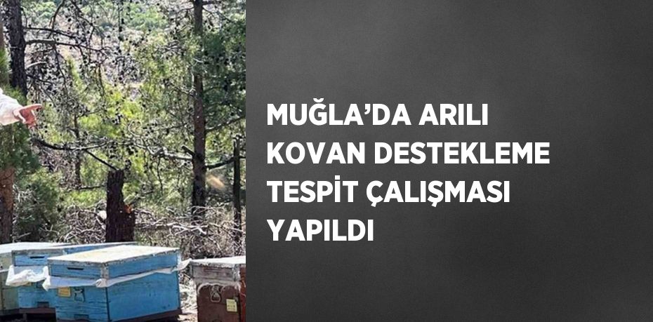MUĞLA’DA ARILI KOVAN DESTEKLEME TESPİT ÇALIŞMASI YAPILDI