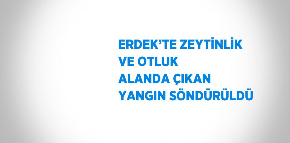 ERDEK’TE ZEYTİNLİK VE OTLUK ALANDA ÇIKAN YANGIN SÖNDÜRÜLDÜ