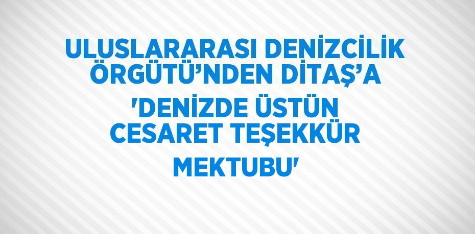 ULUSLARARASI DENİZCİLİK ÖRGÜTÜ’NDEN DİTAŞ’A 'DENİZDE ÜSTÜN CESARET TEŞEKKÜR MEKTUBU'