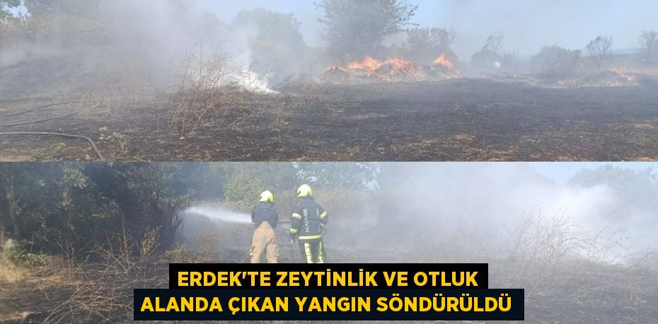 ERDEK'TE ZEYTİNLİK VE OTLUK ALANDA ÇIKAN YANGIN SÖNDÜRÜLDÜ