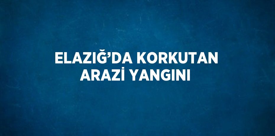 ELAZIĞ’DA KORKUTAN ARAZİ YANGINI