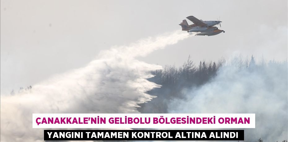 Çanakkale'nin Gelibolu bölgesindeki orman yangını tamamen kontrol altına alındı