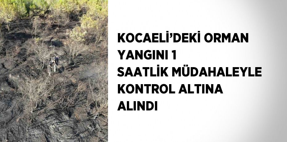 KOCAELİ’DEKİ ORMAN YANGINI 1 SAATLİK MÜDAHALEYLE KONTROL ALTINA ALINDI