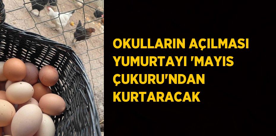 OKULLARIN AÇILMASI YUMURTAYI 'MAYIS ÇUKURU'NDAN KURTARACAK