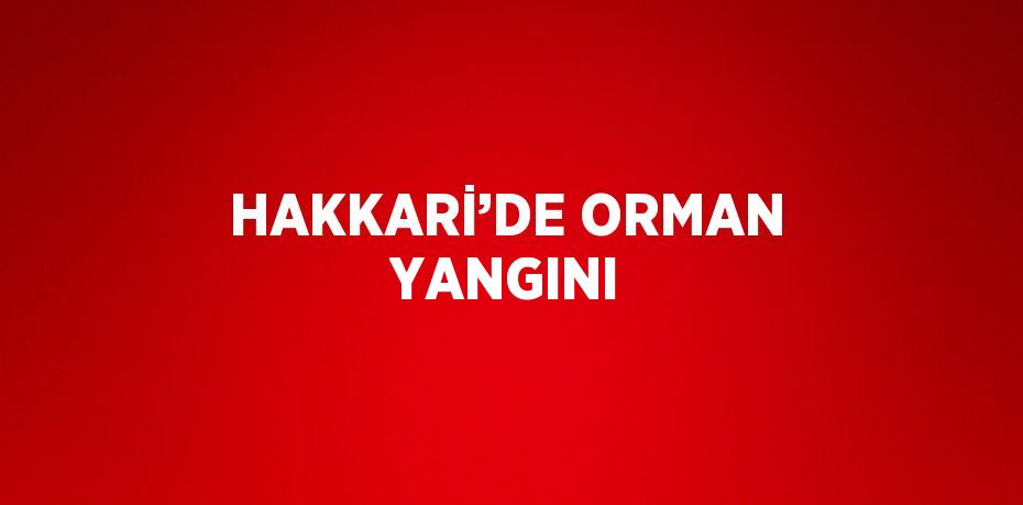 HAKKARİ’DE ORMAN YANGINI
