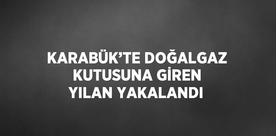 KARABÜK’TE DOĞALGAZ KUTUSUNA GİREN YILAN YAKALANDI