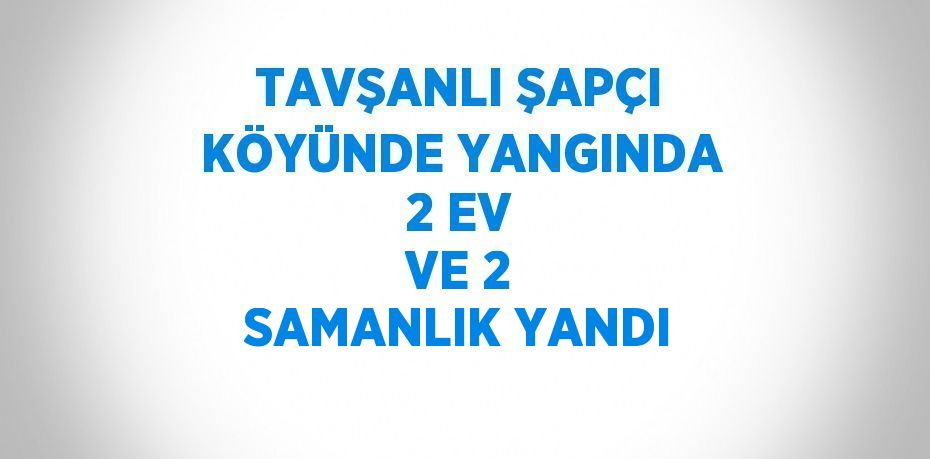TAVŞANLI ŞAPÇI KÖYÜNDE YANGINDA 2 EV VE 2 SAMANLIK YANDI