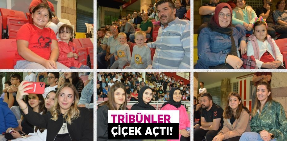TRİBÜNLER  ÇİÇEK AÇTI!