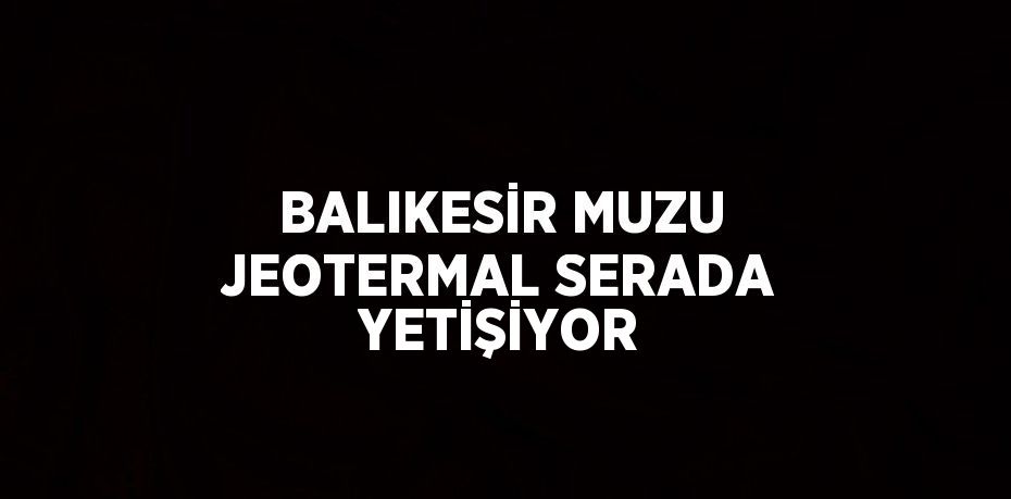 BALIKESİR MUZU JEOTERMAL SERADA YETİŞİYOR