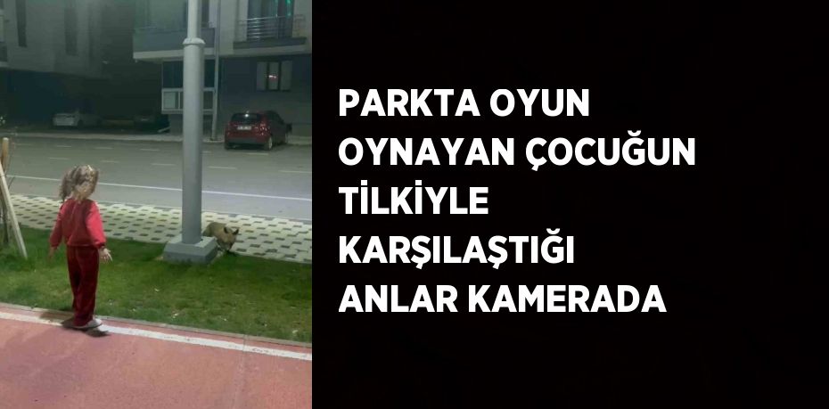 PARKTA OYUN OYNAYAN ÇOCUĞUN TİLKİYLE KARŞILAŞTIĞI ANLAR KAMERADA