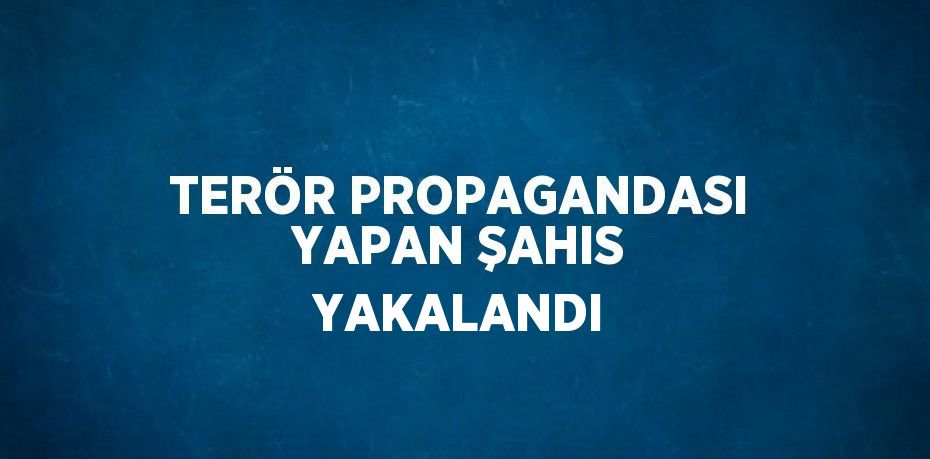 TERÖR PROPAGANDASI YAPAN ŞAHIS YAKALANDI