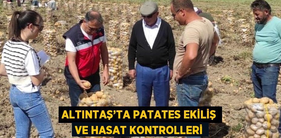 ALTINTAŞ’TA PATATES EKİLİŞ VE HASAT KONTROLLERİ