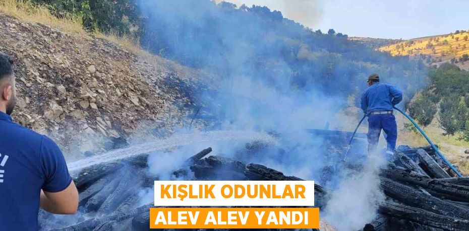 KIŞLIK ODUNLAR ALEV ALEV YANDI