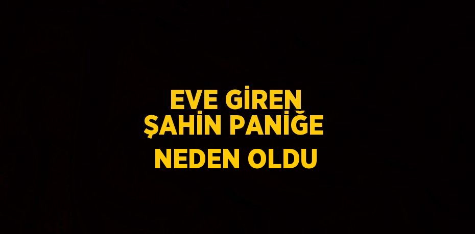 EVE GİREN ŞAHİN PANİĞE NEDEN OLDU