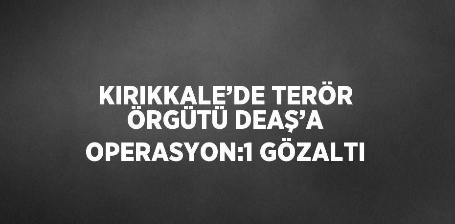 KIRIKKALE’DE TERÖR ÖRGÜTÜ DEAŞ’A OPERASYON:1 GÖZALTI