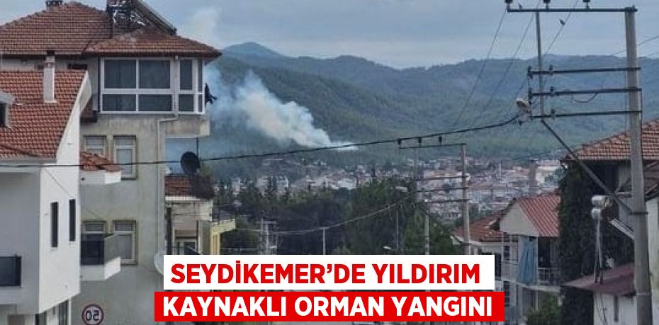 SEYDİKEMER’DE YILDIRIM KAYNAKLI ORMAN YANGINI