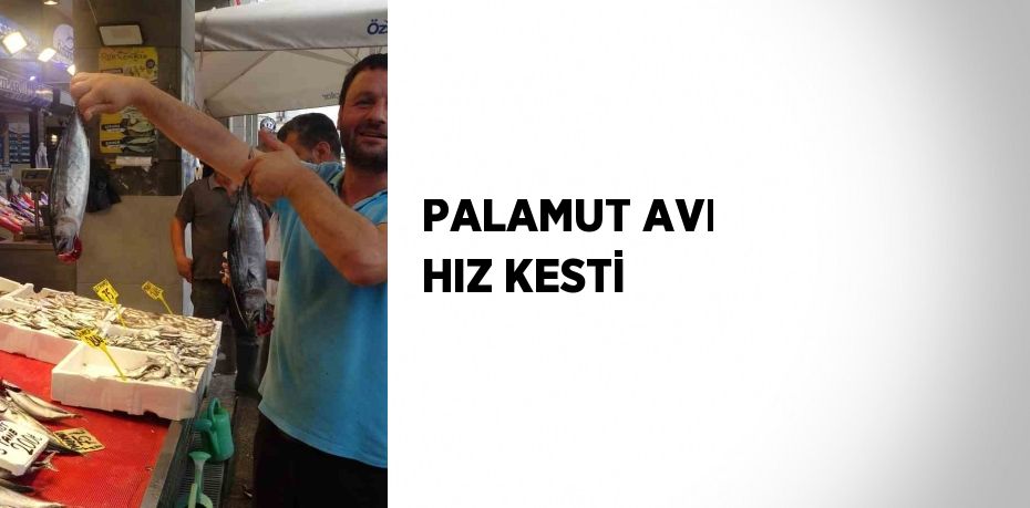 PALAMUT AVI HIZ KESTİ