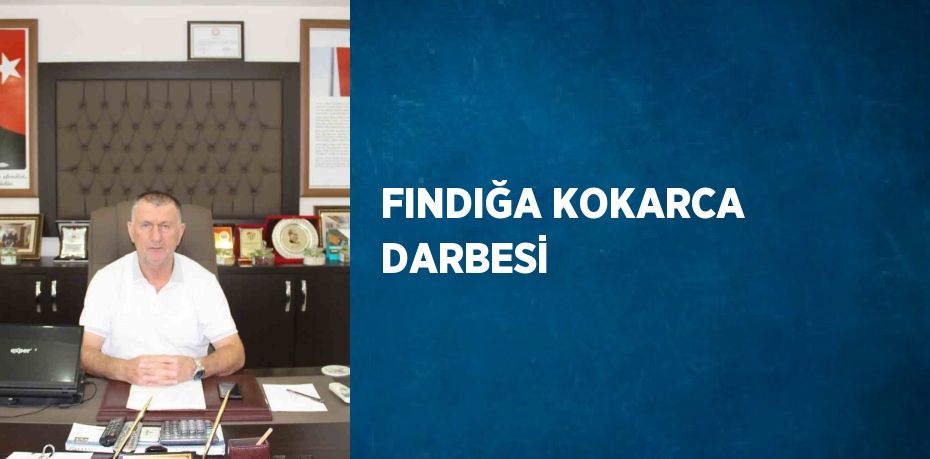 FINDIĞA KOKARCA DARBESİ